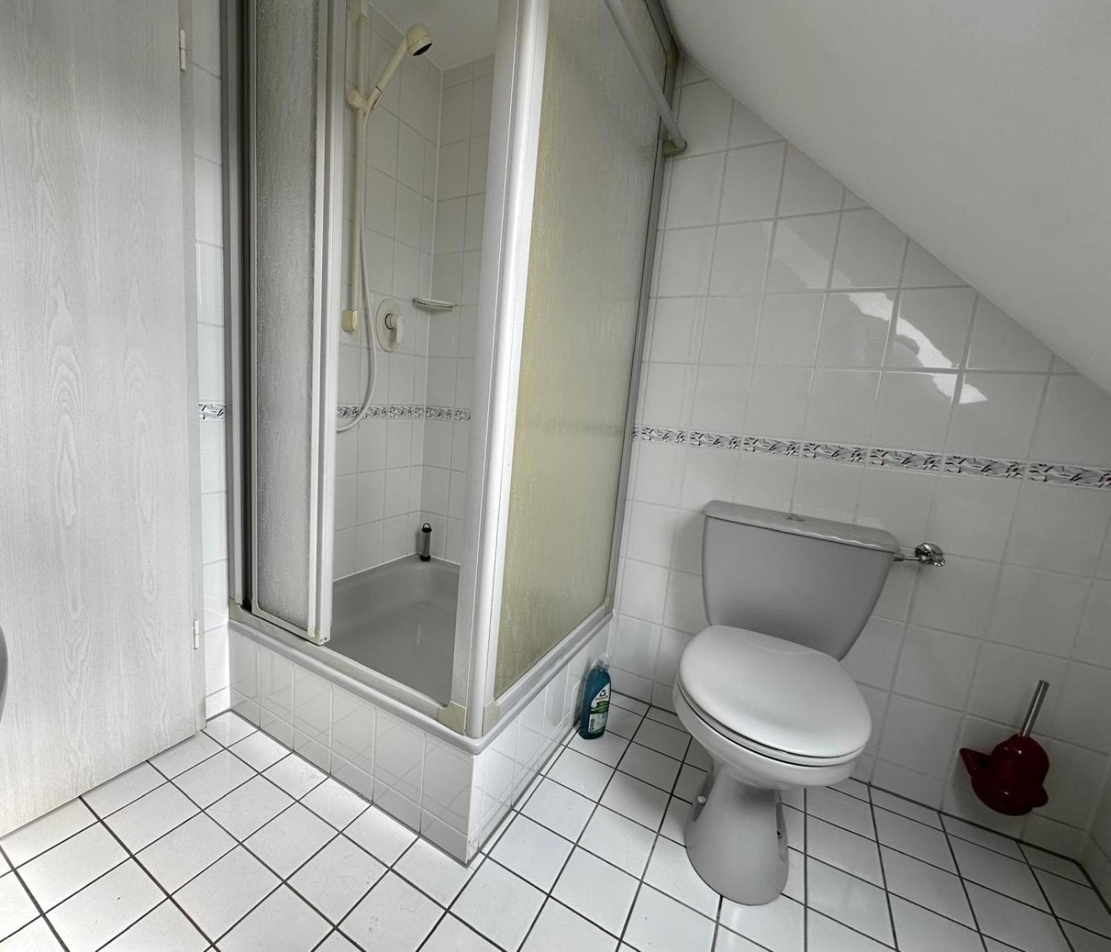 Ferienwohnung Sonnenschein Mit Kleinem Bauernhof Thale Exterior photo